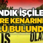 Fındık toplamaya giden iki kardeş ölü bulundu
