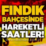 Fındık bahçesine şüpheli cisim düştü: İHA ihtimali araştırılıyor