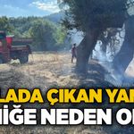 Tarlada çıkan yangın paniğe neden oldu