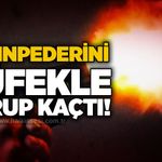 Kayınpederini tüfekle vurup kaçtı!