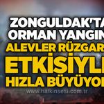 Zonguldak'ta orman yangını: Alevler rüzgarın etkisiyle hızla büyüyor!