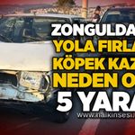 Zonguldak'ta yola fırlayan köpek kazaya neden oldu: 5 yaralı