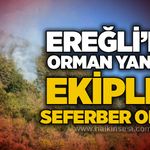 Ereğli’de orman yangını: Ekipler seferber oldu!