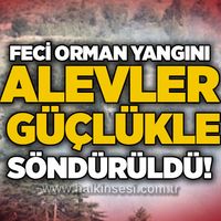 Asayiş