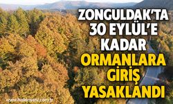 Zonguldak’ta 30 Eylül’e kadar ormanlara giriş yasaklandı