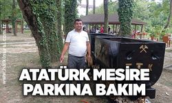 Atatürk Mesire Parkına bakım