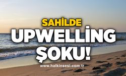 Sahilde upwelling şoku!