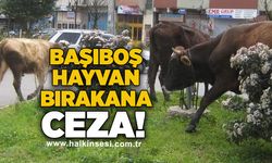 Başıboş Hayvan bırakanlara ceza!