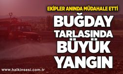 Buğday tarlasında yangın