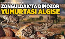 Zonguldak'ta dinozor yumurtası algısı!