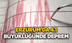 Erzurum'da 4.1 büyüklüğünde deprem