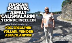 Başkan Posbıyık, Asfalt Çalışmalarını Yerinde İnceledi