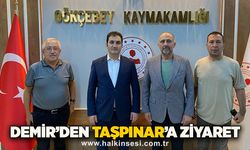 Demir’den Taşpınar’a ziyaret