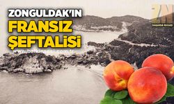 Zonguldak'ın Fransız Şeftalisi