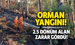 ORMAN YANGINI! 2.5 DÖNÜM ALAN ZARAR GÖRDÜ!