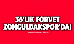 36'lık forvet Zonguldakspor'da!