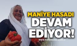 Maniye hasadı devam ediyor!