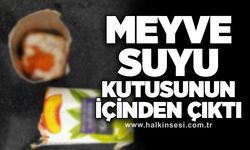 Meyve suyu kutusunun içinden çıktı