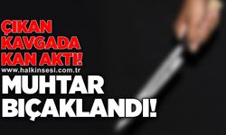 Çıkan kavgada kan aktı! Muhtar bıçaklandı!