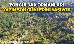 Zonguldak ormanları yazın son günlerini yaşıyor