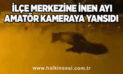 İlçe merkezine inen ayı amatör kameraya yansıdı