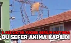 5. kez çıktığı yüksek gerilim hattında bu sefer akıma kapıldı