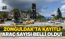 Zonguldak'ta kayıtlı araç sayısı belli oldu!
