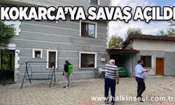 Kokarca’ya savaş açıldı