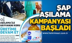 Şap aşılama kampanyası başladı