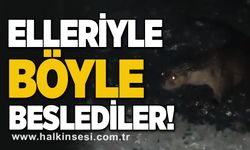 Elleriyle böyle beslediler!