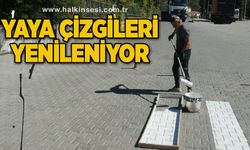 Yaya çizgileri yenileniyor