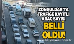 Zonguldak'ta trafiğe kayıtlı araç sayısı belli oldu!