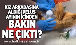 Kız arkadaşına aldığı peluş ayının içinden bakın ne çıktı?