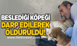 Beslediği köpeği darp edilerek öldürüldü