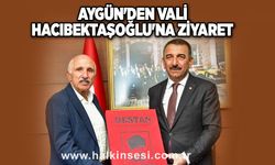Aygün'den Vali Hacıbektaşoğlu'na ziyaret