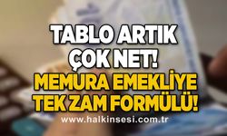 Emekli zammı memur maaşı zammı altında kalmayacak