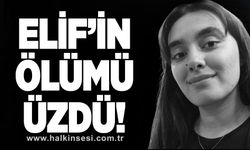 Elif’in ölümü üzdü!