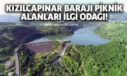 Kızılcapınar Barajı piknik alanları ilgi odağı!