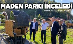 Maden Parkı inceledi