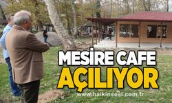 Mesire Cafe açılıyor