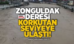 Zonguldak deresi korkutan seviyeye ulaştı!
