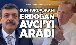 Cumhurbaşkanı Erdoğan, Avcı'yı aradı