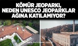 KÖMÜR JEOPARKI, NEDEN UNESCO JEOPARKLAR AĞINA KATILAMIYOR?