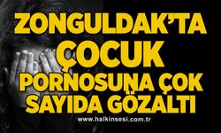 Zonguldak’ta çocuk pornosuna çok sayıda gözaltı