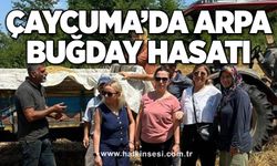 Çaycuma’da arpa buğday hasatı