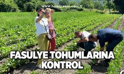 Fasulye tohumlarına kontrol