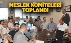 Meslek komiteleri toplandı