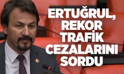 Ertuğrul, Rekor trafik cezalarını sordu