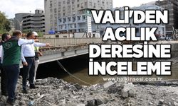 Vali'den Acılık deresine inceleme