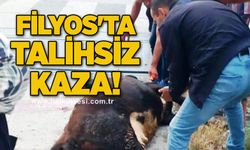 Filyos'ta talihsiz kaza!